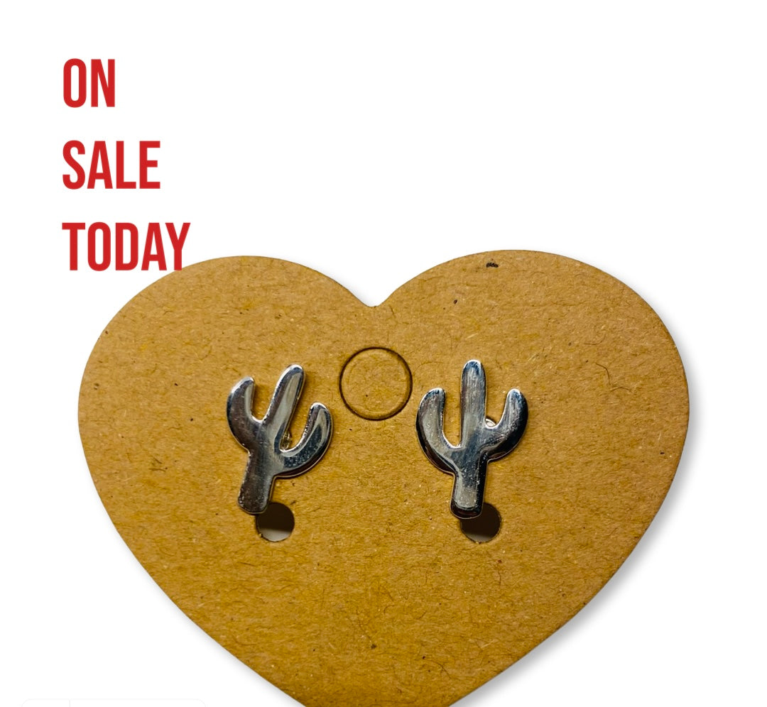 Earrings, cute cactus